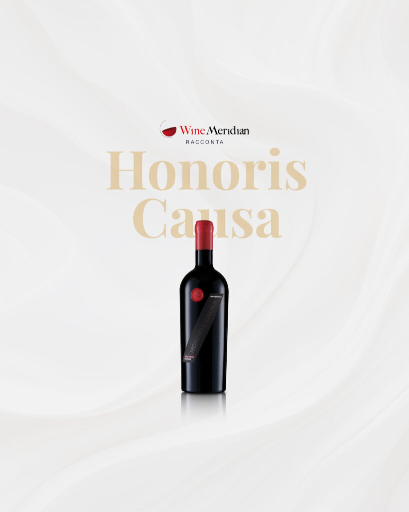 Brugnano Rece Honoris Causa_FB 1 copia_FB 1 copia